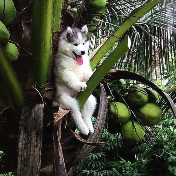 Meet your Posher, Eva - Picture 2 of 11